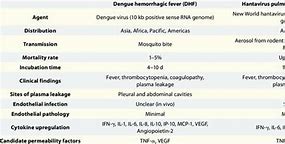 Dengue Hemorrhagic Fever Bahasa Indonesia